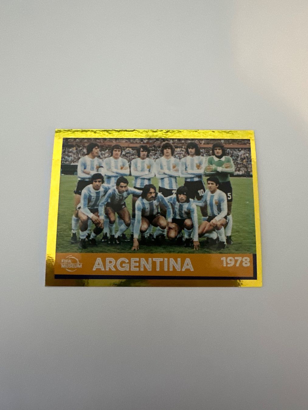 Panini FIFA WM 2022 Oryx - FWC 24 - Argentina 1978 – Original-Zustandsfoto Vorderseite