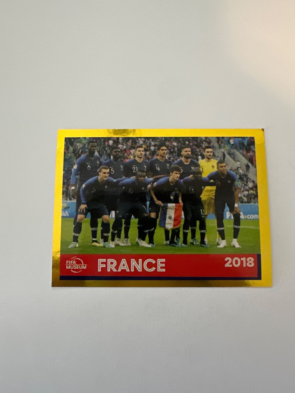 Panini FIFA WM 2022 Oryx - FWC 29 - France 2018 – Original-Zustandsfoto Vorderseite