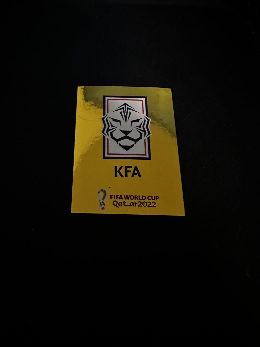 Panini WM 2022 Oryx KOR 2 – Originalfoto Vorderseite