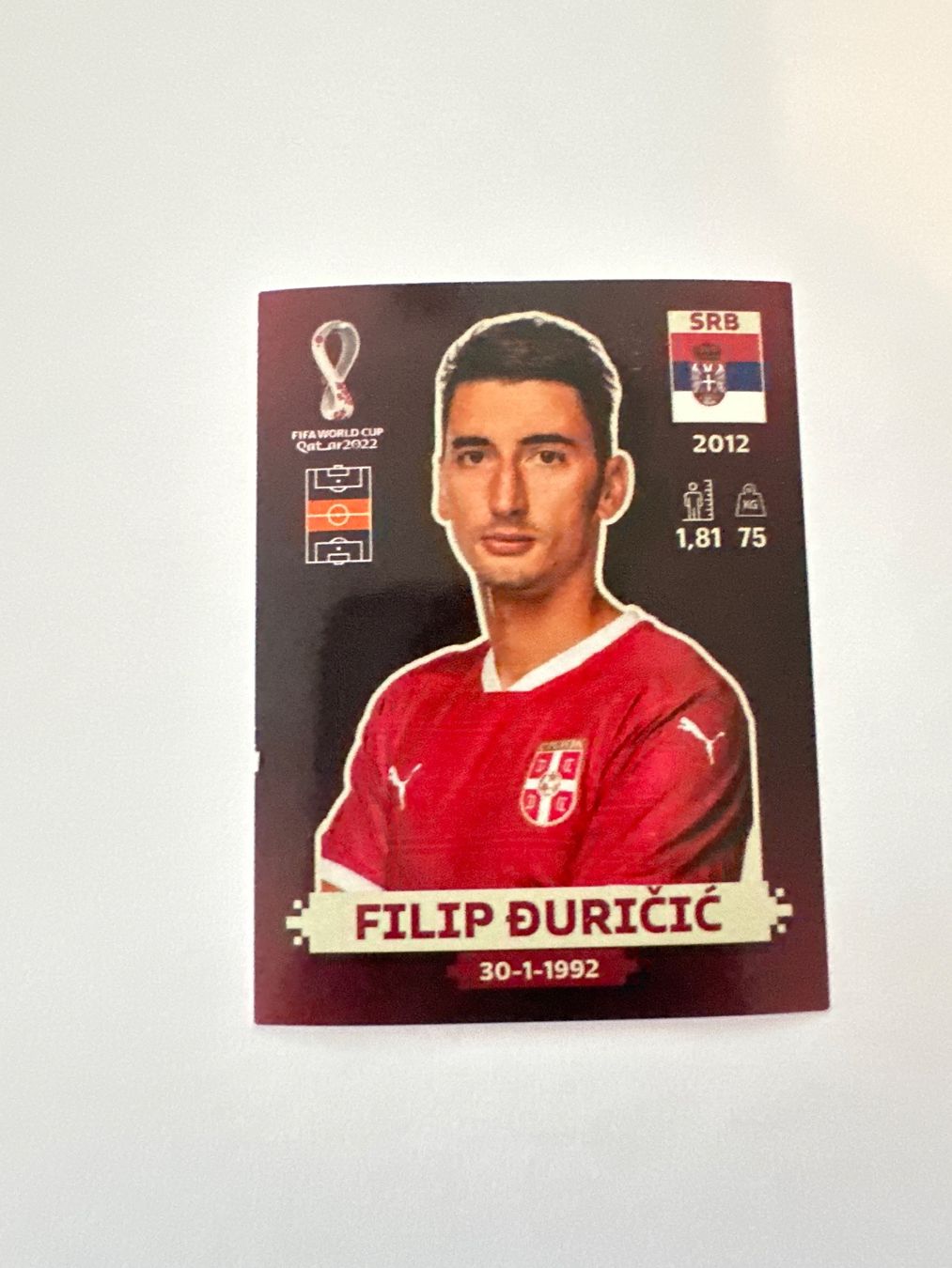 Panini FIFA WM 2022 Oryx - SRB 8 - Filip Đuričić – Original-Zustandsfoto Vorderseite